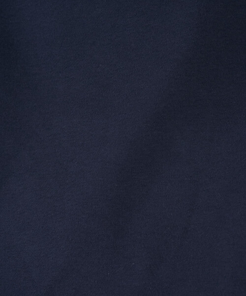 FREAK'S STORE(フリークスストア)の「限定展開 Champion × FREAK'S STORE/チャンピオン 別注 フロッキー プリント ロゴ クルーネック スウェット(スウェット・レディース・ネイビー/グレー/ライトグレー/レッド/ブラック・フリ-)」の22枚目の写真
