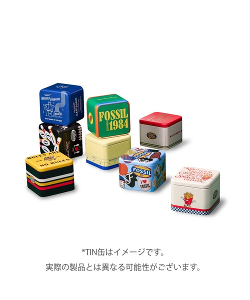 FOSSIL(フォッシル)の「フォッシル 腕時計 メンズ アナログ ステンレス FS6183(アナログ腕時計・メンズ・シルバー・FREE)」の8枚目の写真