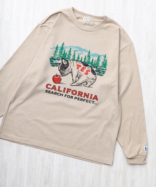 The Endless Summer(エンドレスサマー)の「TES CALIFORNIA FOREST LONG SLEEVE T-SHIRT / ロンT(Tシャツ/カットソー・メンズ・グレー/ホワイト/ブラック/ベージュ・XX-LARGE/X-LARGE/LARGE/MEDIUM/SMALL)」の4枚目の写真