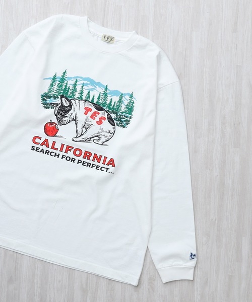 The Endless Summer(エンドレスサマー)の「TES CALIFORNIA FOREST LONG SLEEVE T-SHIRT / ロンT(Tシャツ/カットソー・メンズ・グレー/ホワイト/ブラック/ベージュ・XX-LARGE/X-LARGE/LARGE/MEDIUM/SMALL)」の2枚目の写真