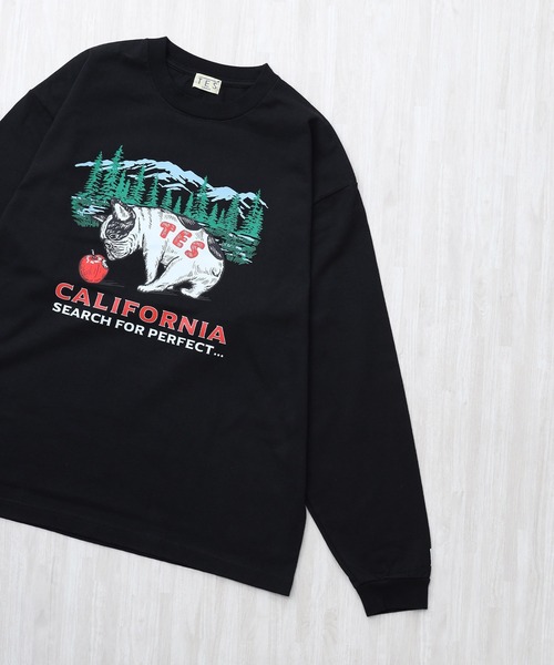 The Endless Summer(エンドレスサマー)の「TES CALIFORNIA FOREST LONG SLEEVE T-SHIRT / ロンT(Tシャツ/カットソー・メンズ・グレー/ホワイト/ブラック/ベージュ・XX-LARGE/X-LARGE/LARGE/MEDIUM/SMALL)」の3枚目の写真