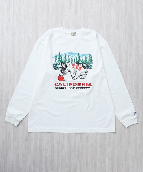 The Endless Summer(エンドレスサマー)の「TES CALIFORNIA FOREST LONG SLEEVE T-SHIRT / ロンT(Tシャツ/カットソー・メンズ・グレー/ホワイト/ブラック/ベージュ・XX-LARGE/X-LARGE/LARGE/MEDIUM/SMALL)」の5枚目の写真