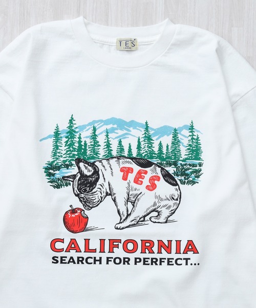 The Endless Summer(エンドレスサマー)の「TES CALIFORNIA FOREST LONG SLEEVE T-SHIRT / ロンT(Tシャツ/カットソー・メンズ・グレー/ホワイト/ブラック/ベージュ・XX-LARGE/X-LARGE/LARGE/MEDIUM/SMALL)」の6枚目の写真