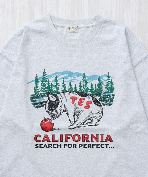 The Endless Summer(エンドレスサマー)の「TES CALIFORNIA FOREST LONG SLEEVE T-SHIRT / ロンT(Tシャツ/カットソー・メンズ・グレー/ホワイト/ブラック/ベージュ・XX-LARGE/X-LARGE/LARGE/MEDIUM/SMALL)」の8枚目の写真