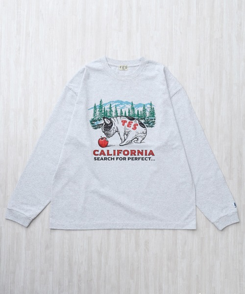 The Endless Summer(エンドレスサマー)の「TES CALIFORNIA FOREST LONG SLEEVE T-SHIRT / ロンT(Tシャツ/カットソー・メンズ・グレー/ホワイト/ブラック/ベージュ・XX-LARGE/X-LARGE/LARGE/MEDIUM/SMALL)」の7枚目の写真