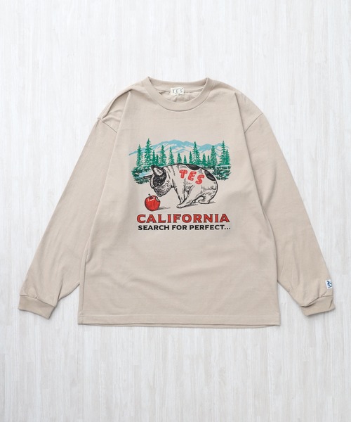 The Endless Summer(エンドレスサマー)の「TES CALIFORNIA FOREST LONG SLEEVE T-SHIRT / ロンT(Tシャツ/カットソー・メンズ・グレー/ホワイト/ブラック/ベージュ・XX-LARGE/X-LARGE/LARGE/MEDIUM/SMALL)」の11枚目の写真