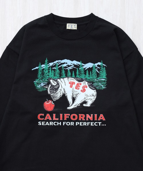 The Endless Summer(エンドレスサマー)の「TES CALIFORNIA FOREST LONG SLEEVE T-SHIRT / ロンT(Tシャツ/カットソー・メンズ・グレー/ホワイト/ブラック/ベージュ・XX-LARGE/X-LARGE/LARGE/MEDIUM/SMALL)」の10枚目の写真