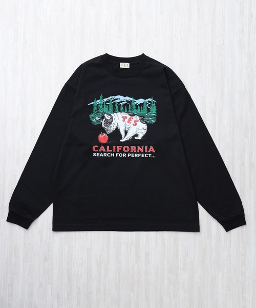 The Endless Summer(エンドレスサマー)の「TES CALIFORNIA FOREST LONG SLEEVE T-SHIRT / ロンT(Tシャツ/カットソー・メンズ・グレー/ホワイト/ブラック/ベージュ・XX-LARGE/X-LARGE/LARGE/MEDIUM/SMALL)」の9枚目の写真