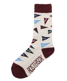 BEAMS BOY | ROSTER SOCKS / ペナントソックス(ソックス/靴下)