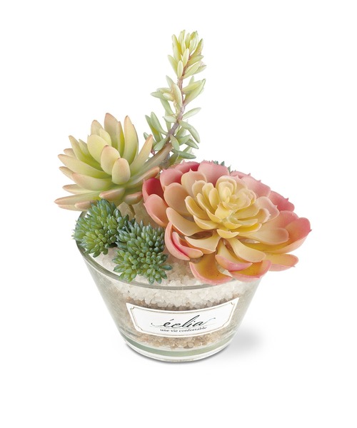 消臭 アーティフィシャル グリーン L パステル その他雑貨 I D E A International イデアインターナショナル のファッション通販 Zozotown