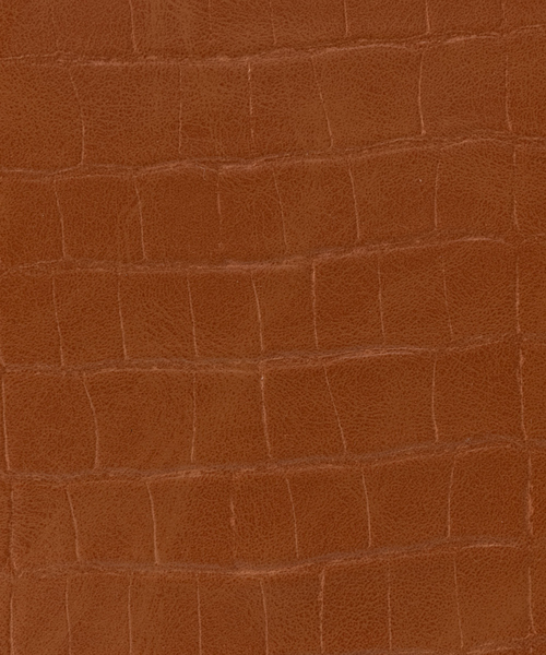 Abahouse Devinette（ドゥヴィネット）の「【Avancer】型押しショルダーミニスマートウォレット（ショルダーバッグ・レディース・ブラック/ベージュ/グリーン/キャメル・フリー）」の19枚目の写真