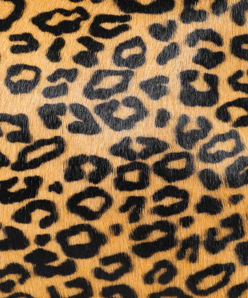 GIANNI CHIARINI(ジャンニ キアリーニ)の「【GIANNI CHIARINI/ジャン二 キアリー二】ALIFA:ショルダーバッグ(ショルダーバッグ・レディース・キャメル・FREE)」の15枚目の写真