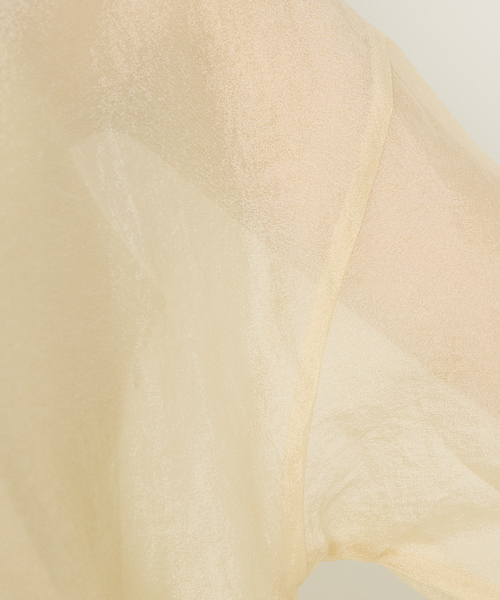 abahouse mavie（アバハウスマヴィ）の「シアーシャツカーディガン（カーディガン/ボレロ・レディース・ブラウン/ブラック/クリーム・フリー）」の9枚目の写真