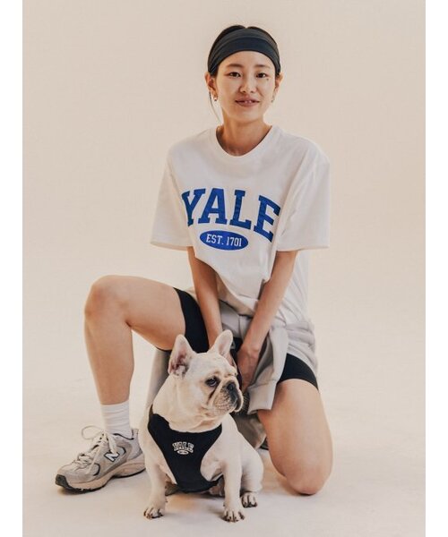YALE(イェール)の「ツートンアーチ半袖Tシャツホワイト(Tシャツ/カットソー・レディース・その他・MEDIUM/LARGE/X-LARGE/XX-LARGE/X-SMALL/SMALL)」の8枚目の写真
