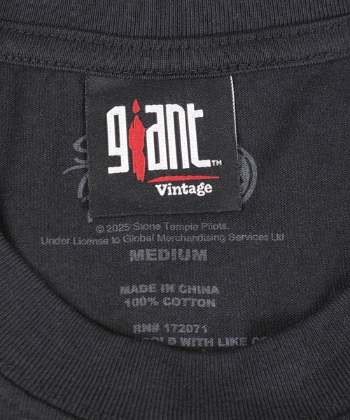 giant Vintage(ジャイアントヴィンテージ)の「【GIANT01】【Giant Vintage/ジャイアント ヴィンテージ】STONE TEMPLE PILOTS PURPLE ALBUM COVER SCREEN PRINT OVERSIZED BOX SILHOUETTE T-SHIRTS(Tシャツ/カットソー・メンズ・ブラック系その他・LARGE)」の8枚目の写真