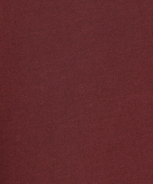 coen(コーエン)の「【Cool Hug Cotton / クールハグコットン】 フレンチスリーブTシャツ(接触冷感)(Tシャツ/カットソー・レディース・モカ/ワインレッド/ブラック/オフホワイト・M/L)」の8枚目の写真