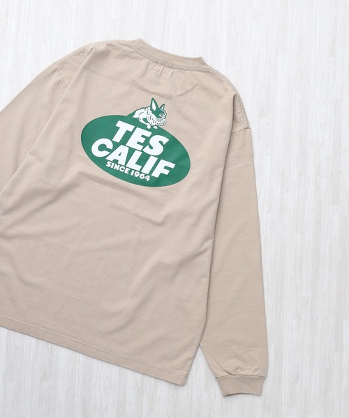 The Endless Summer（エンドレスサマー）の「TES TEAM LOGO PT LONG SLEEVE T-SHIRT / ロンT（Tシャツ/カットソー・メンズ・ホワイト/グレー/ブラック/ベージュ・LARGE/X-LARGE/XX-LARGE/MEDIUM/SMALL）」の4枚目の写真