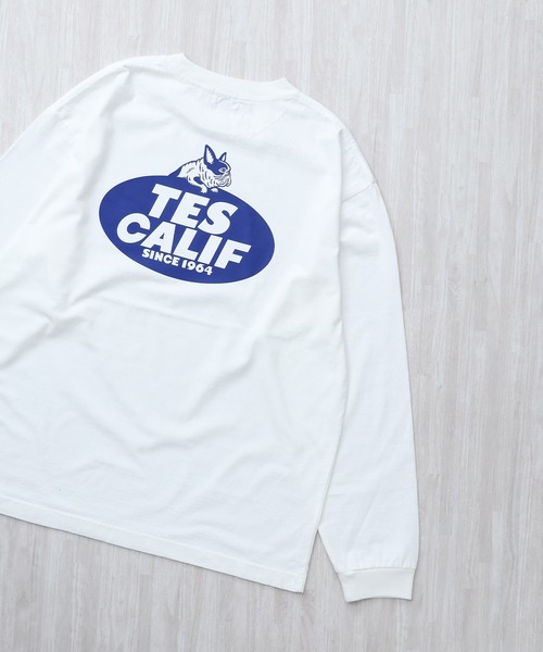 The Endless Summer（エンドレスサマー）の「TES TEAM LOGO PT LONG SLEEVE T-SHIRT / ロンT（Tシャツ/カットソー・メンズ・ホワイト/グレー/ブラック/ベージュ・LARGE/X-LARGE/XX-LARGE/MEDIUM/SMALL）」の2枚目の写真