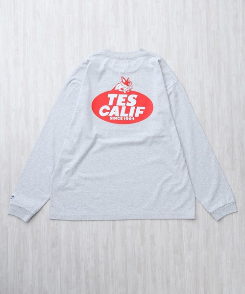 The Endless Summer（エンドレスサマー）の「TES TEAM LOGO PT LONG SLEEVE T-SHIRT / ロンT（Tシャツ/カットソー・メンズ・ホワイト/グレー/ブラック/ベージュ・LARGE/X-LARGE/XX-LARGE/MEDIUM/SMALL）」の11枚目の写真