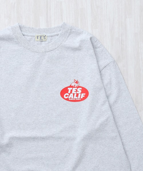The Endless Summer（エンドレスサマー）の「TES TEAM LOGO PT LONG SLEEVE T-SHIRT / ロンT（Tシャツ/カットソー・メンズ・ホワイト/グレー/ブラック/ベージュ・LARGE/X-LARGE/XX-LARGE/MEDIUM/SMALL）」の13枚目の写真