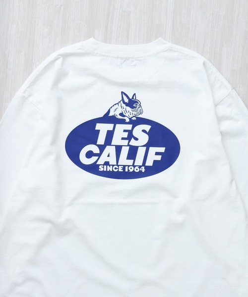 The Endless Summer（エンドレスサマー）の「TES TEAM LOGO PT LONG SLEEVE T-SHIRT / ロンT（Tシャツ/カットソー・メンズ・ホワイト/グレー/ブラック/ベージュ・LARGE/X-LARGE/XX-LARGE/MEDIUM/SMALL）」の18枚目の写真