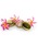 Malie Organicsi}G I[KjNXj́uSoy Candle Travel Plumeria (\CLhgxvA)iLhjvb̑