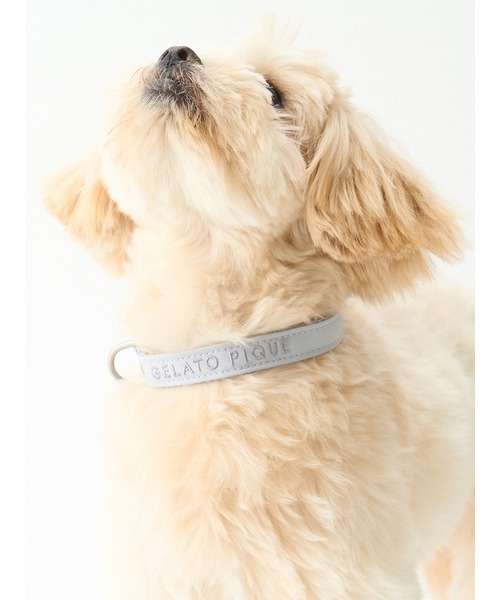 gelato pique(ジェラートピケ)の「【CAT&DOG】【販路限定商品】首輪(リード/ハーネス/首輪・レディース・ブルー/ピンク・SMALL/MEDIUM/LARGE)」の3枚目の写真