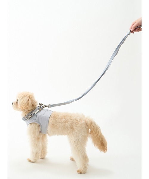 gelato pique(ジェラートピケ)の「【CAT&DOG】【販路限定商品】首輪(リード/ハーネス/首輪・レディース・ブルー/ピンク・SMALL/MEDIUM/LARGE)」の5枚目の写真