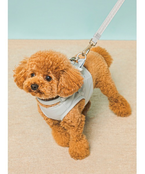 gelato pique(ジェラートピケ)の「【CAT&DOG】【販路限定商品】首輪(リード/ハーネス/首輪・レディース・ブルー/ピンク・SMALL/MEDIUM/LARGE)」の17枚目の写真