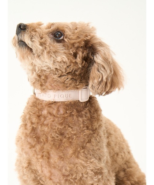 gelato pique(ジェラートピケ)の「【CAT&DOG】【販路限定商品】首輪(リード/ハーネス/首輪・レディース・ブルー/ピンク・SMALL/MEDIUM/LARGE)」の21枚目の写真