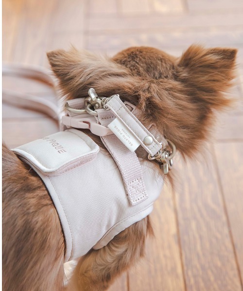 gelato pique(ジェラートピケ)の「【CAT&DOG】【販路限定商品】首輪(リード/ハーネス/首輪・レディース・ブルー/ピンク・SMALL/MEDIUM/LARGE)」の18枚目の写真