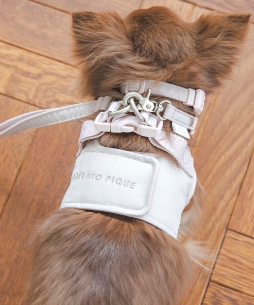 gelato pique(ジェラートピケ)の「【CAT&DOG】【販路限定商品】首輪(リード/ハーネス/首輪・レディース・ブルー/ピンク・SMALL/MEDIUM/LARGE)」の19枚目の写真