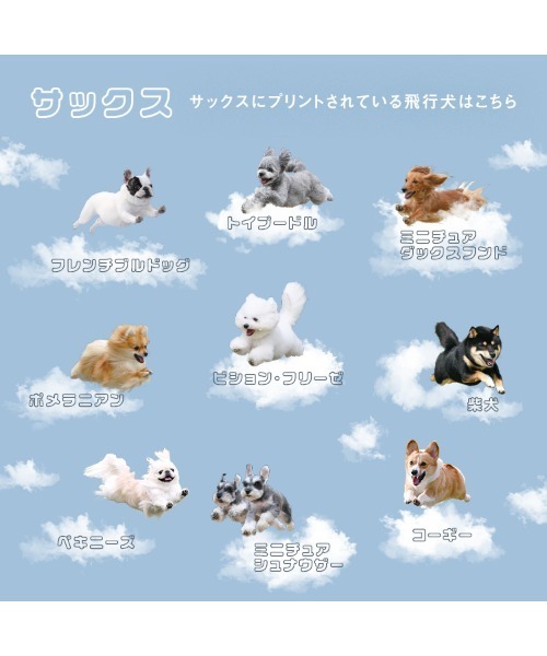 Wpc.(ダブリュピーシー)の「★飛行犬×Wpc. 空飛ぶ遮光ワンブレラ ミニ 日傘 折りたたみ 晴雨兼用(折りたたみ傘・レディース・ベージュ/サックスブルー・FREE)」の11枚目の写真
