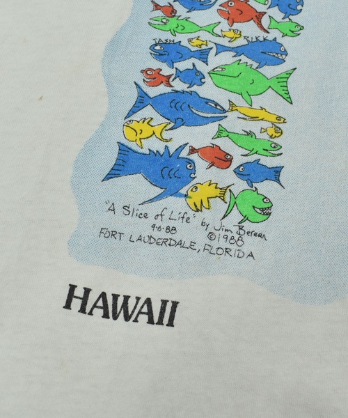 USA製 90s 古着 ハイビスカス HAWAII プリント tee tシャツ 90s PIKO Tシャツ サーフT バックプリント ハイビスカス ブルー