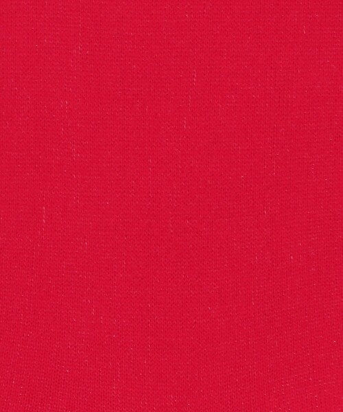 BEAUTY&YOUTH UNITED ARROWS（ビューティーアンドユースユナイテッドアローズ）の「シアーハイソックス（ソックス/靴下・レディース・ホワイト/レッド/ブラック・FREE）」の6枚目の写真