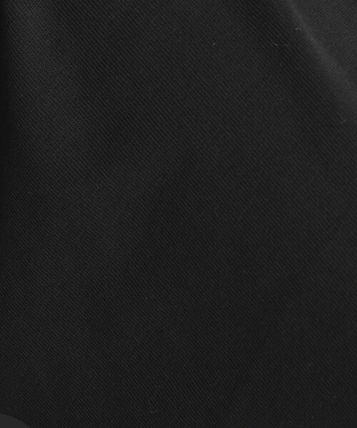 green label relaxing(グリーンレーベルリラクシング)の「【WEB限定】<at ease>ロングスリーブ カットソー(Tシャツ/カットソー・レディース・オフホワイト/ブラック・FREE)」の21枚目の写真