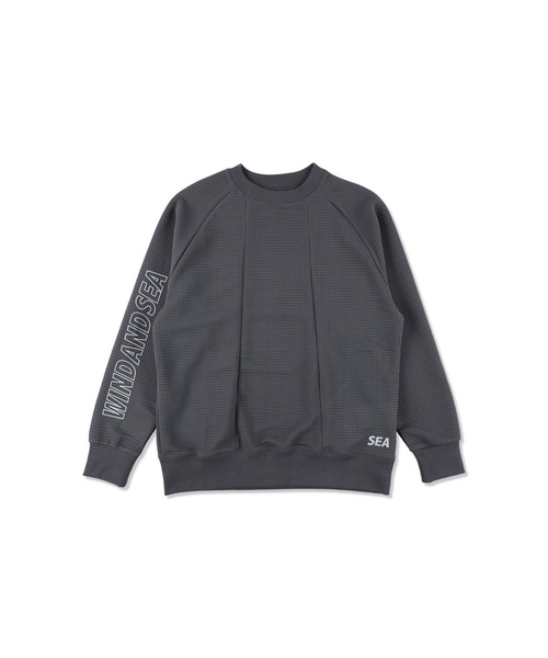 WIND AND SEA(ウィンダンシー)の「WDS-ES WDS_TEX Dimensional Crewneck Sweatshirt(スウェット・メンズ・オリーブドラブ/グレー/アイボリー/ブラック・XL/S/M/L)」の19枚目の写真