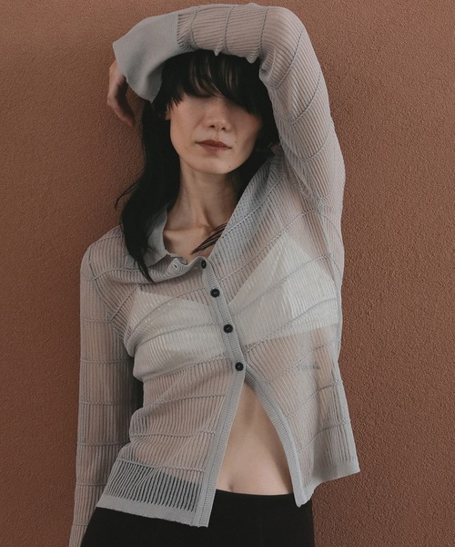 anuke(アンヌーク)の「Sheerborder Knit Shirts(シャツ/ブラウス・レディース・ブルー系その他/ブラウン・FREE)」の1枚目の写真