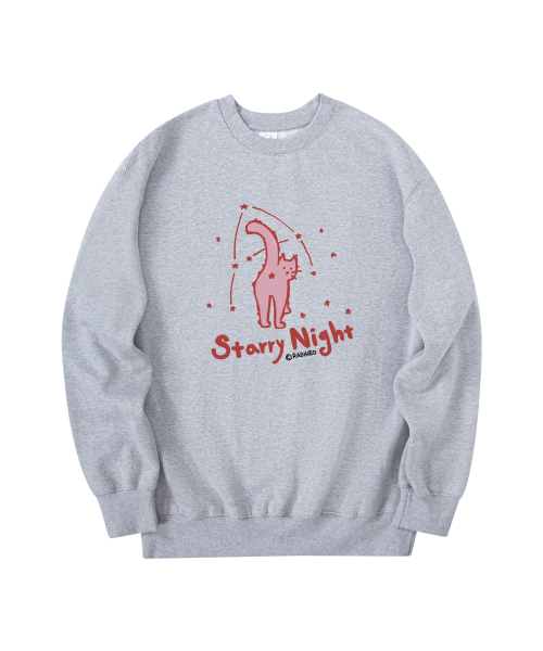 RADINEO(ラディネオ)の「スタリーナイト スウェット グレー(スウェット・メンズ・その他・LARGE/X-LARGE/MEDIUM)」の1枚目の写真