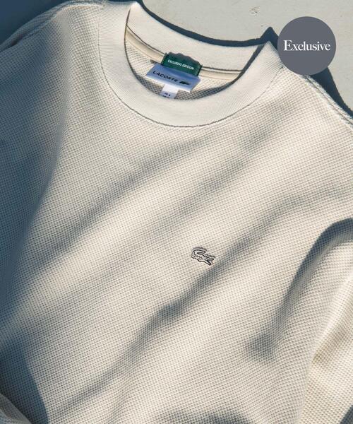 LACOSTE(ラコステ)の「『別注』LACOSTE×DOORS THICK PIQUE ROUND LONG-SLEEVE(Tシャツ/カットソー・メンズ・ライトブルー/グリーン/アイボリー/ネイビー・4/3/5)」の2枚目の写真