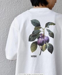 【SHIPS any別注】NYBG: ボタニカル プリント リラックス Tシャツ◇