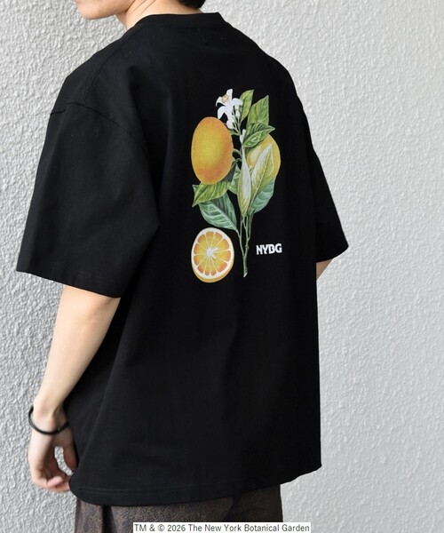 SHIPS any（シップス エニィ）の「【SHIPS any別注】NYBG: ボタニカル プリント リラックス Tシャツ◇（Tシャツ/カットソー・メンズ・ホワイト系その他/ホワイト/ブラック・MEDIUM/X-LARGE/LARGE）」の2枚目の写真