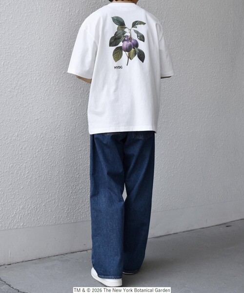 SHIPS any（シップス エニィ）の「【SHIPS any別注】NYBG: ボタニカル プリント リラックス Tシャツ◇（Tシャツ/カットソー・メンズ・ホワイト系その他/ホワイト/ブラック・MEDIUM/X-LARGE/LARGE）」の5枚目の写真