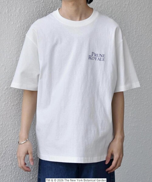 SHIPS any（シップス エニィ）の「【SHIPS any別注】NYBG: ボタニカル プリント リラックス Tシャツ◇（Tシャツ/カットソー・メンズ・ホワイト系その他/ホワイト/ブラック・MEDIUM/X-LARGE/LARGE）」の6枚目の写真