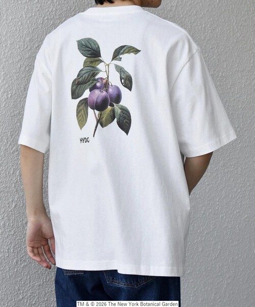 SHIPS any（シップス エニィ）の「【SHIPS any別注】NYBG: ボタニカル プリント リラックス Tシャツ◇（Tシャツ/カットソー・メンズ・ホワイト系その他/ホワイト/ブラック・MEDIUM/X-LARGE/LARGE）」の7枚目の写真