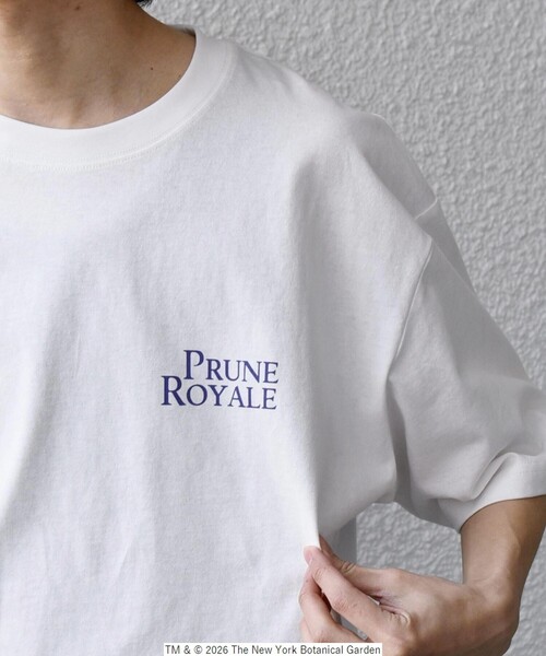 SHIPS any（シップス エニィ）の「【SHIPS any別注】NYBG: ボタニカル プリント リラックス Tシャツ◇（Tシャツ/カットソー・メンズ・ホワイト系その他/ホワイト/ブラック・MEDIUM/X-LARGE/LARGE）」の8枚目の写真