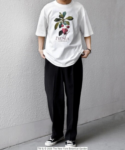 SHIPS any（シップス エニィ）の「【SHIPS any別注】NYBG: ボタニカル プリント リラックス Tシャツ◇（Tシャツ/カットソー・メンズ・ホワイト系その他/ホワイト/ブラック・MEDIUM/X-LARGE/LARGE）」の9枚目の写真