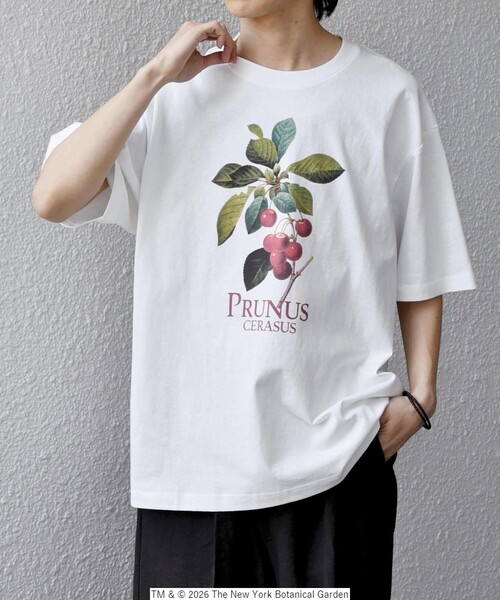 SHIPS any（シップス エニィ）の「【SHIPS any別注】NYBG: ボタニカル プリント リラックス Tシャツ◇（Tシャツ/カットソー・メンズ・ホワイト系その他/ホワイト/ブラック・MEDIUM/X-LARGE/LARGE）」の11枚目の写真
