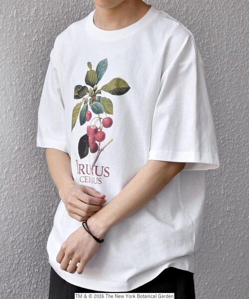 SHIPS any（シップス エニィ）の「【SHIPS any別注】NYBG: ボタニカル プリント リラックス Tシャツ◇（Tシャツ/カットソー・メンズ・ホワイト系その他/ホワイト/ブラック・MEDIUM/X-LARGE/LARGE）」の12枚目の写真