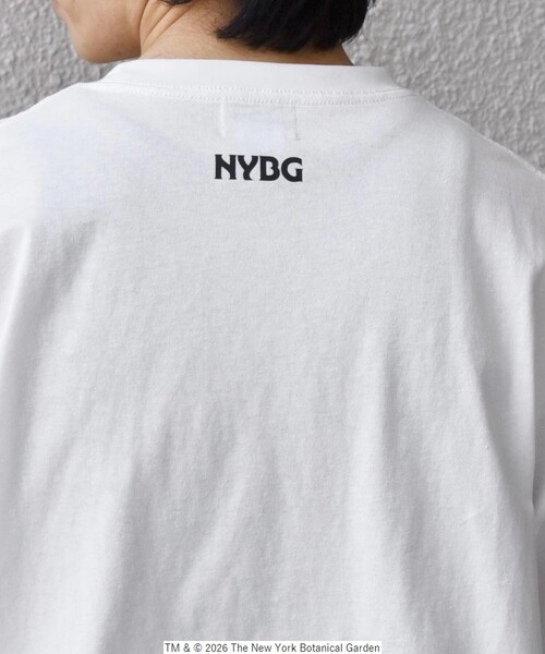 SHIPS any（シップス エニィ）の「【SHIPS any別注】NYBG: ボタニカル プリント リラックス Tシャツ◇（Tシャツ/カットソー・メンズ・ホワイト系その他/ホワイト/ブラック・MEDIUM/X-LARGE/LARGE）」の13枚目の写真